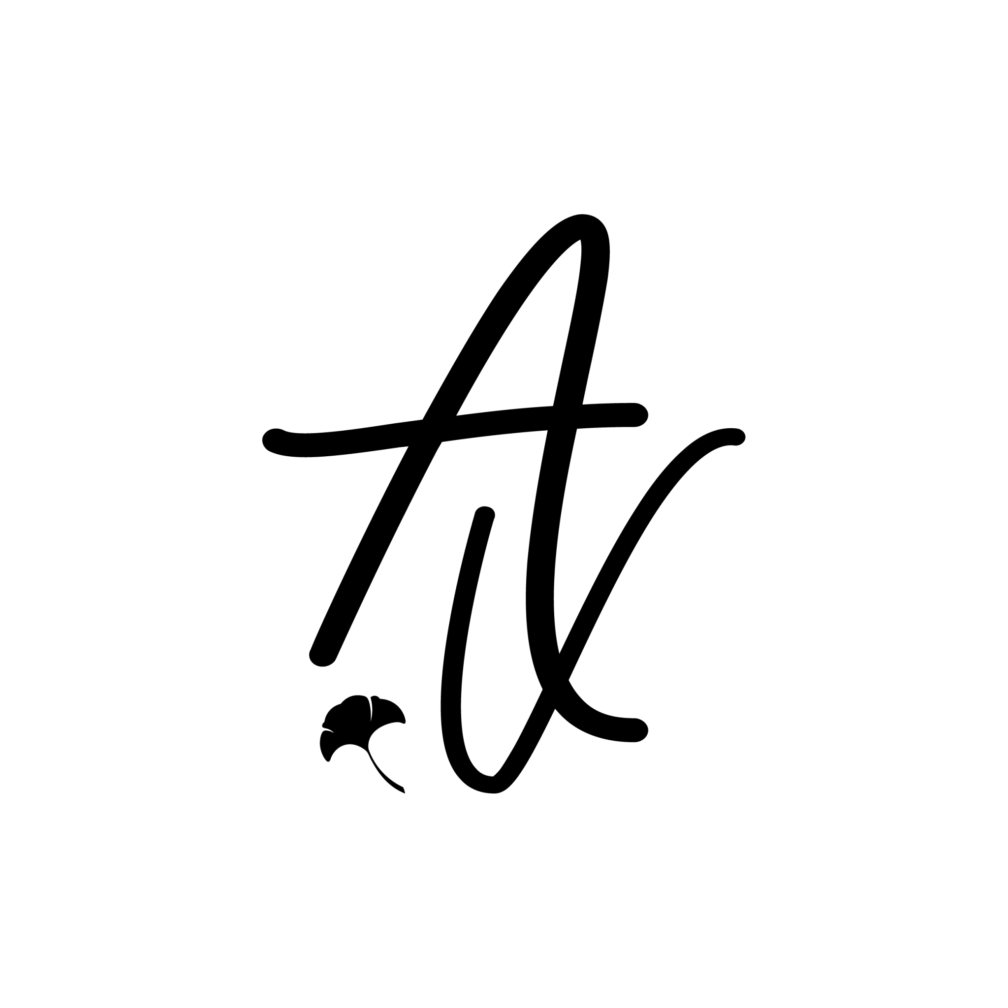 logo Anne Vallier Photographie