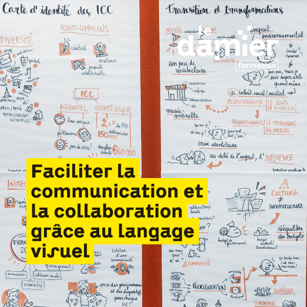 Formation pro - Faciliter la communication et la collaboration grâce au langage visuel